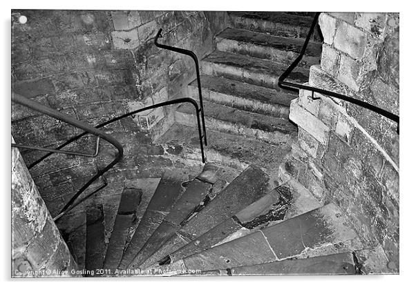 Dover Castle Steps Acrylic by Alice Gosling