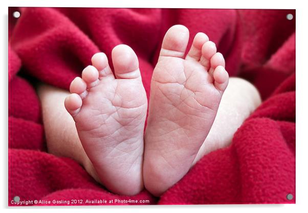 Baby Feet Acrylic by Alice Gosling