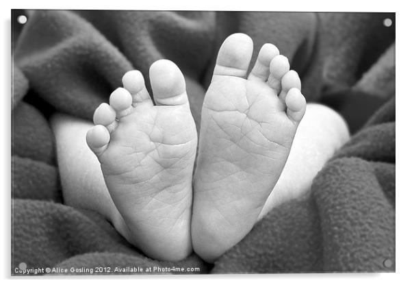 Baby Feet Acrylic by Alice Gosling