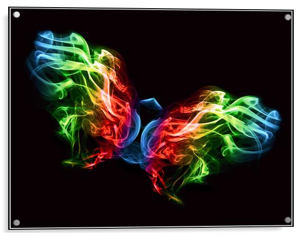 Smoke Butterfly Acrylic by Alice Gosling
