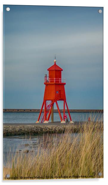 The Herd Groyne Acrylic by andrew blakey