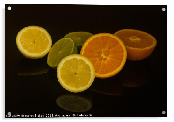 Citrus fruit Acrylic by andrew blakey