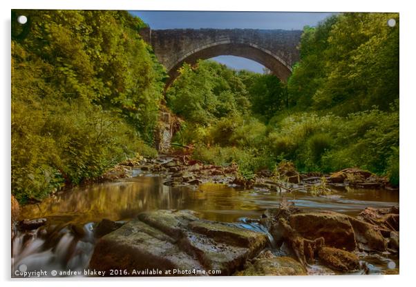 Causey Arch Acrylic by andrew blakey
