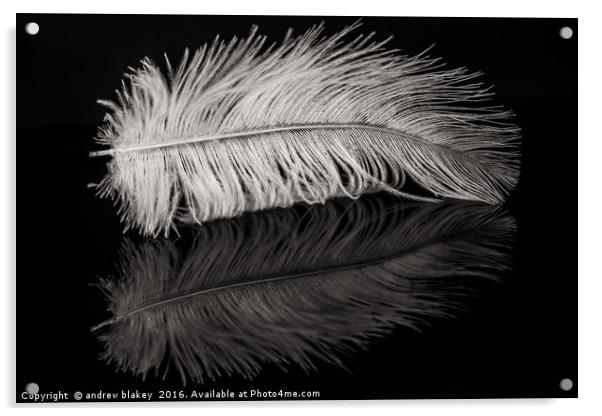 Feather Balanced on a Edge Acrylic by andrew blakey