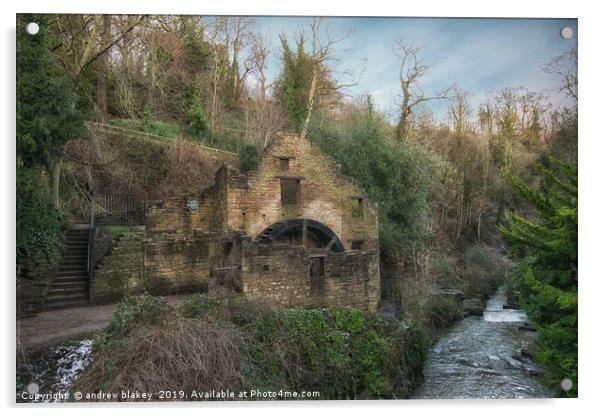 Enchanting Ruins of Jesmond Dene Watermill Acrylic by andrew blakey
