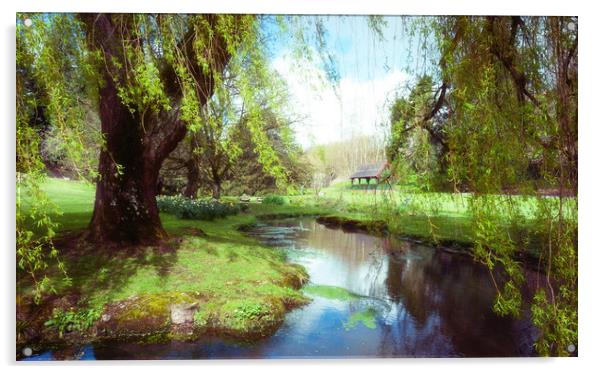 Willow Acrylic by Richard Downs