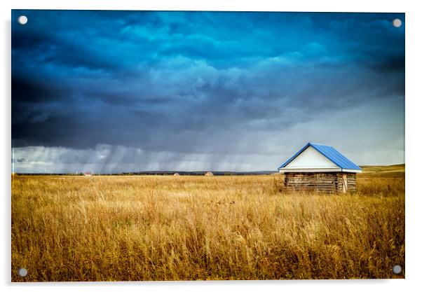 Hut and Rain Acrylic by John Williams