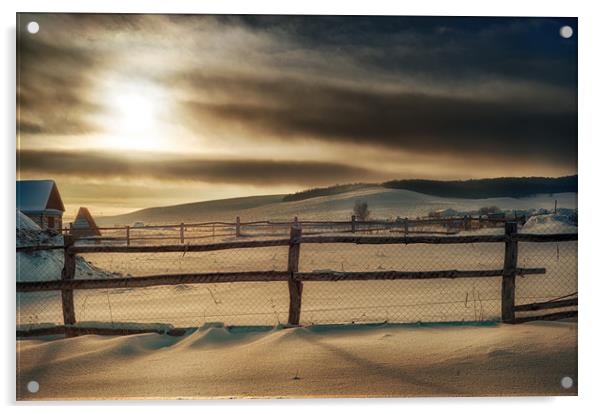 Visions of Sun Snow Acrylic by John Williams