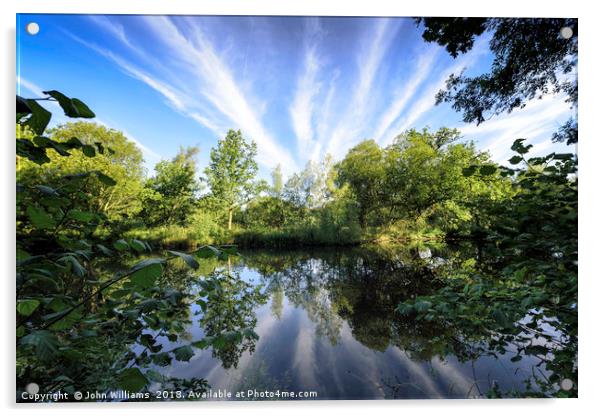 Hatfield Forest Lake England Essex Summer Acrylic by John Williams
