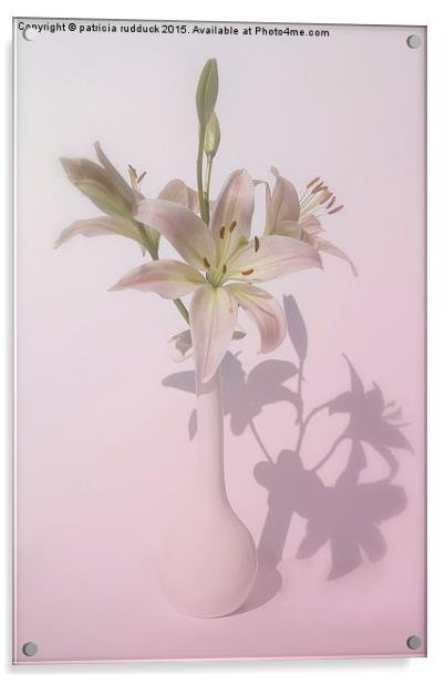  Shadows of  Lily Acrylic by patricia rudduck