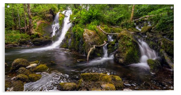 The Forest Waterfall Acrylic by Eirik Sørstrømmen