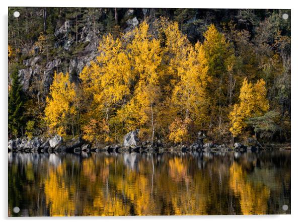 Autumn Reflections in The Lake Acrylic by Eirik Sørstrømmen