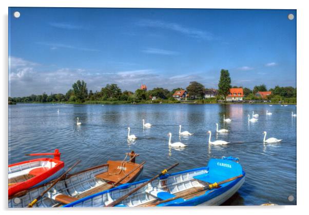 Swans and Boats, Thorpeness  Acrylic by David Stanforth