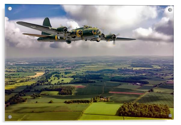 Sally B  Acrylic by David Stanforth