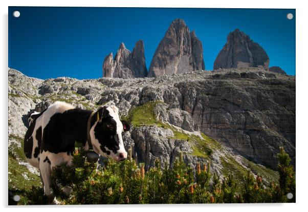 Alpine Pasture Acrylic by Willie Cowie