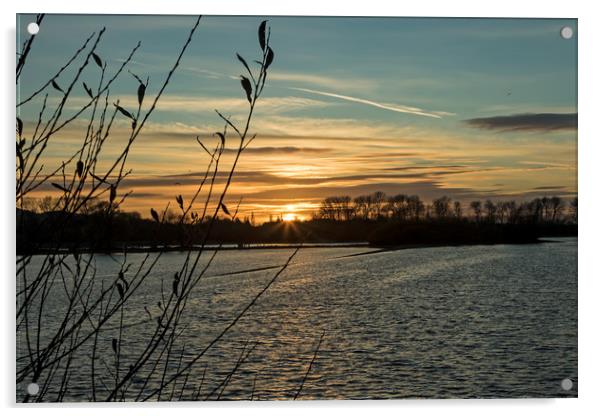 Sunset at Wilstone Reservoir Acrylic by Darren Willmin