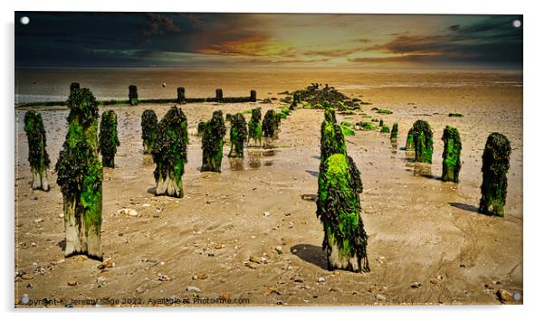Seaweed-Clad Groynes Acrylic by Jeremy Sage