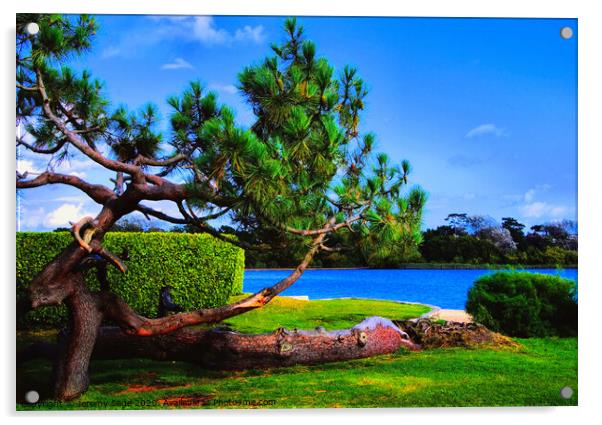 Enchanting Poole: A Blue Lagoon Paradise Acrylic by Jeremy Sage