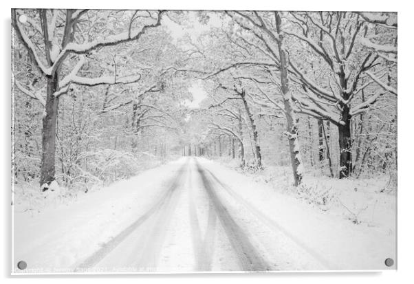 Serene winter wonderland Acrylic by Jeremy Sage