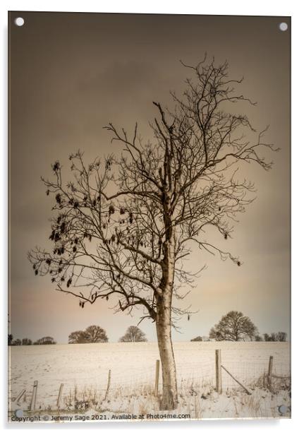 Serene Winter Tree Acrylic by Jeremy Sage