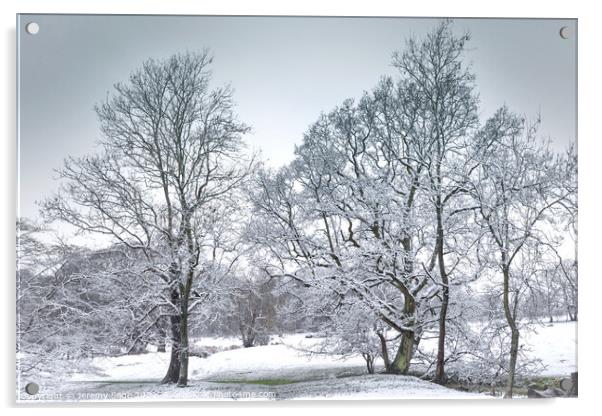 Majestic Winter Wonderland Acrylic by Jeremy Sage