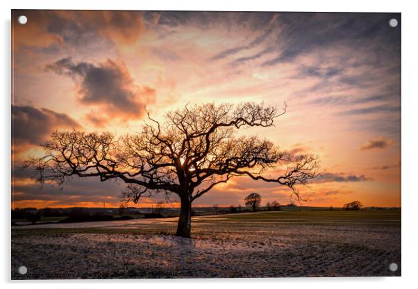 Splendid Winter Sunset Acrylic by Jeremy Sage