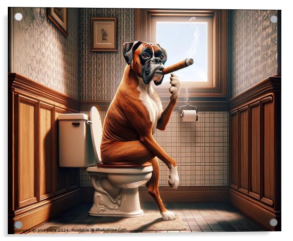 How a Classy Boxer Takes a Break: Cigar Time in the Bathroom 3 Acrylic by phil pace