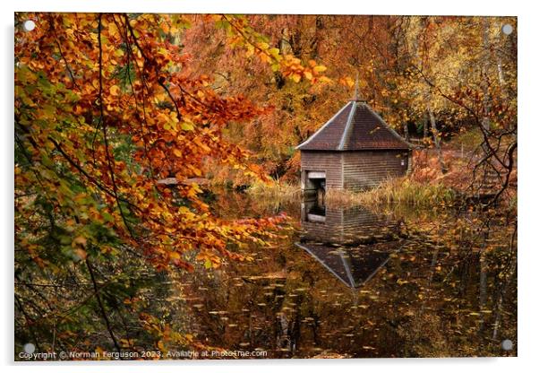 Autumn reflections Acrylic by Norman Ferguson