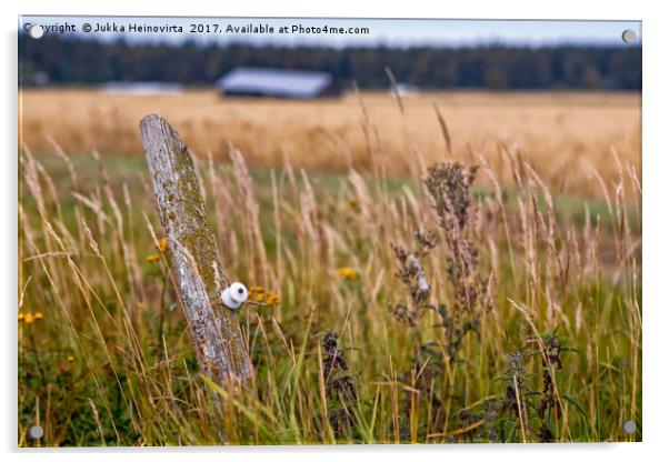 Lonely Pole In The Fields Acrylic by Jukka Heinovirta
