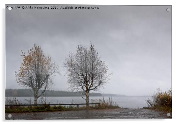 Two Birch Trees By The Lake Acrylic by Jukka Heinovirta