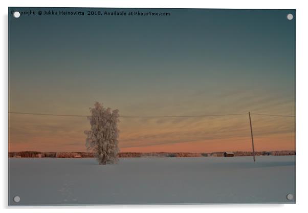 Lonely Tree Covered With Snow Acrylic by Jukka Heinovirta