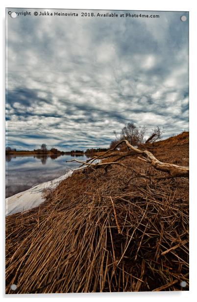 Dead Branch On The River Bend Acrylic by Jukka Heinovirta