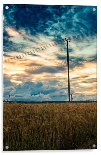 Sunset Over The Barley Fields Acrylic by Jukka Heinovirta