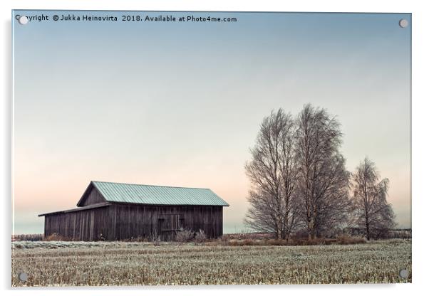 Barn House And Birch Trees On A Frosty Morning Acrylic by Jukka Heinovirta