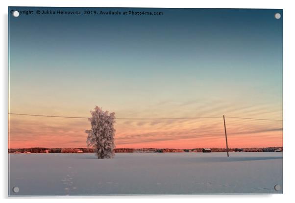 Snow Covered Tree In The Sunset Acrylic by Jukka Heinovirta