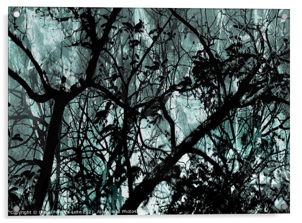 Leafy Dark Nature Background Acrylic by Daniel Ferreira-Leite