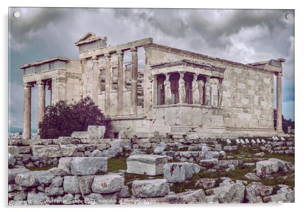 Erechtheum Temple, Athens, Greece Acrylic by Daniel Ferreira-Leite