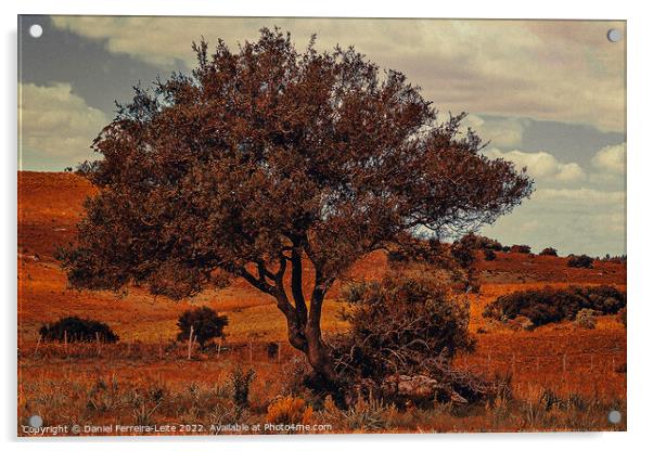 Uruguay countryside landscape Acrylic by Daniel Ferreira-Leite