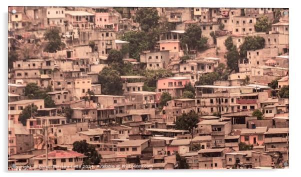 Slums over hill, guayaquil city, ecuador Acrylic by Daniel Ferreira-Leite
