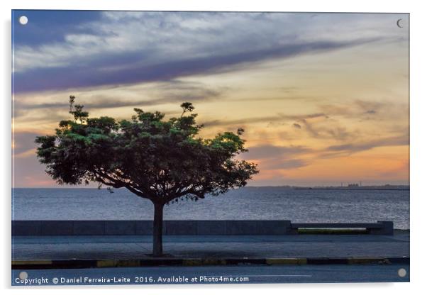 Sunset Scene at Boardwalk in Montevideo Uruguay Acrylic by Daniel Ferreira-Leite