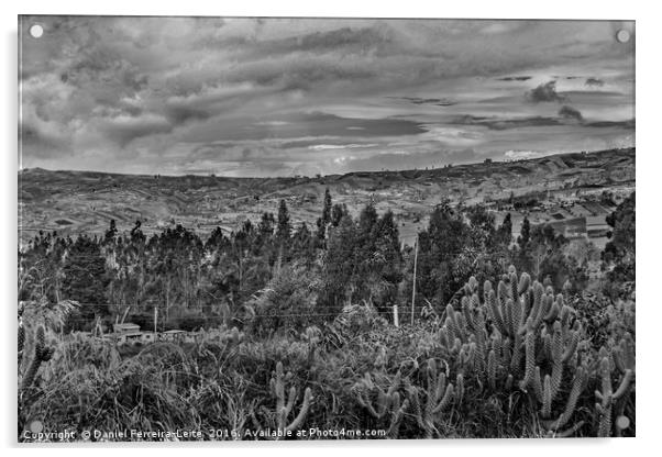 Ecuador Landscape Scene at Andes Range Acrylic by Daniel Ferreira-Leite