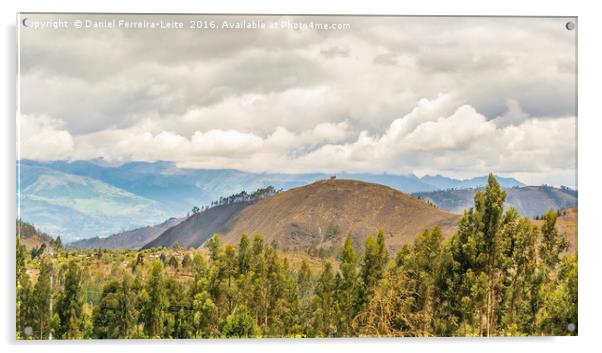 Ecuadorian Landscape at Chimborazo Province Acrylic by Daniel Ferreira-Leite