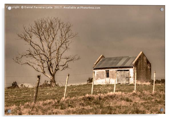 Rural House Landscape Scene, Uruguay Acrylic by Daniel Ferreira-Leite