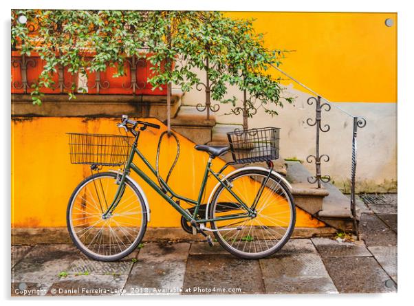 Bicycle Parked at Wall, Lucca, Italy Acrylic by Daniel Ferreira-Leite