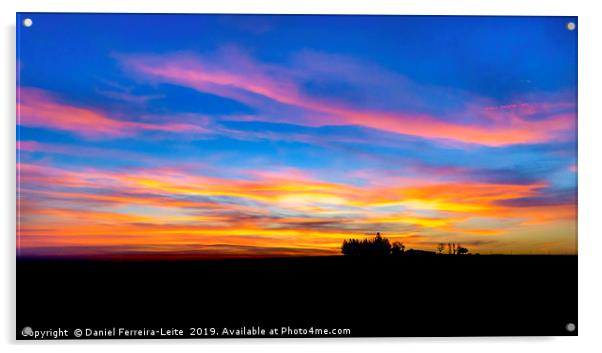 Uruguay Field Sunset Scene Landscape  Acrylic by Daniel Ferreira-Leite