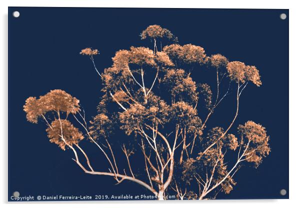 Botanical Decor Artwork Acrylic by Daniel Ferreira-Leite