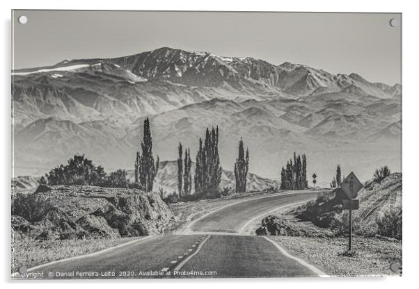 Deserted Landscape Highway, San Juan Province, Arg Acrylic by Daniel Ferreira-Leite