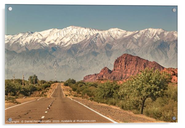 Empty Highway Landscape, La Rioja, Argentina Acrylic by Daniel Ferreira-Leite