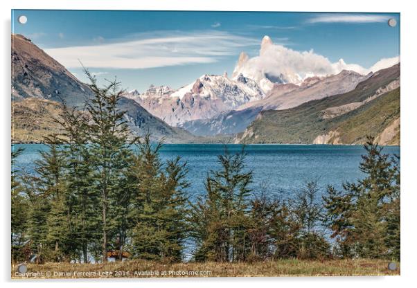 Lake and Andes Mountains, Patagonia - Argentina Acrylic by Daniel Ferreira-Leite