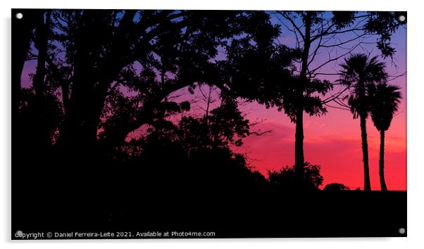 Sunset Trees Landscape Silhouette Acrylic by Daniel Ferreira-Leite